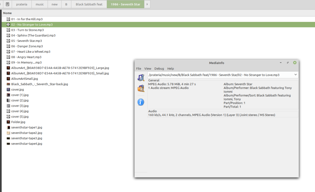 mediainfo output on audio file